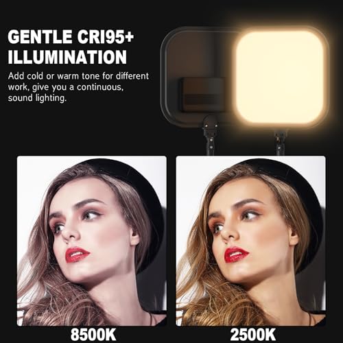 2Pack LED Video Light Kit, Hagibis 15W Photography Lighting Kit, 78" Dimmable Studio Lights with Tripod, 2500-8500K Stream Light for Video Recording, Game Streaming, Photography, Tiktok, YouTube