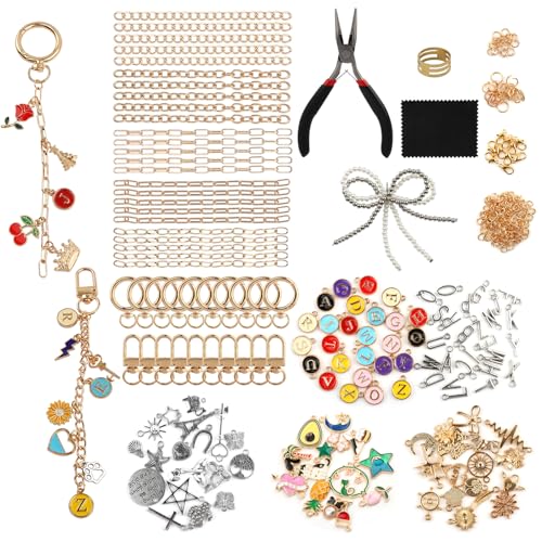 Olnverath 325Pcs Lip Gloss Keychain Making Kit with Charms, Including Keychain Clips Extender Chain Charms Jewelry Plier, Jewelry Making Kit for Custom Keychains and DIY Crafting(Alloy)