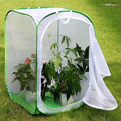 RESTCLOUD 36" Large Monarch Butterfly Habitat, Giant Collapsible Insect Mesh Cage Terrarium Pop-up 24 x 24 x 36 Inches - color: White with Green