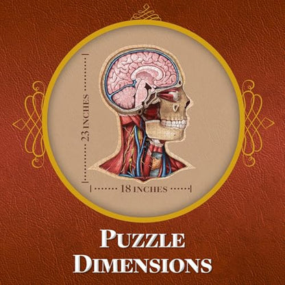 Genius Games Human Head Anatomy Puzzle - Adult Jigsaw Puzzles Unique Gifts for Kids Educational Science - 441 Piece Teen Floor Puzzle - Genius Games Dr. Livingston - style: The Human Head