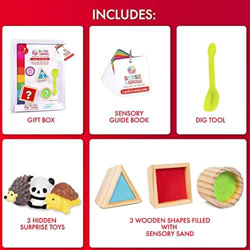 Sense & Grow Surprise Sand Dig Kit for Kids