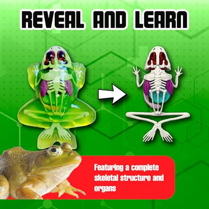 Top Secret Toys Dissect-It Mini Labs Frog Dissection Kit for Kids, Realistic Synthetic Kids Science Kit - On, Biology and Animal Anatomy, STEM Toy, Ages 6+ - style: Mini Frog