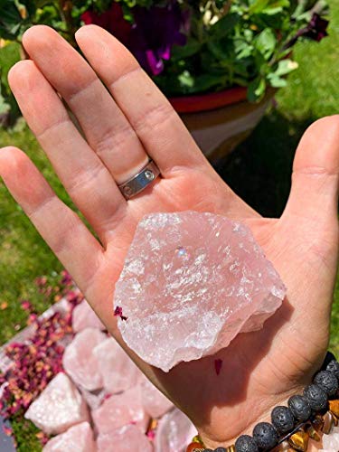 Zenkeeper 1Lb Natural Raw Rose Crystal Large Rose Quartz Stone Rough Gemstones Fountain Bulk Rocks for Tumbling, Cabbing, Polishing, Wire Wrapping, Wicca & Reiki Crystal Healing - color: Rose Crystal