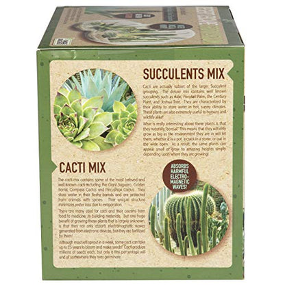 Grow Your Own Desert Escape in A Quality Glass Terrarium Starter Kit with Complete Supplies - Easy to Maintain Indoor Cacti and Succulents - Over A Dozen Desert Plants That Will Last for Years! - style: Desert Escape Growarium