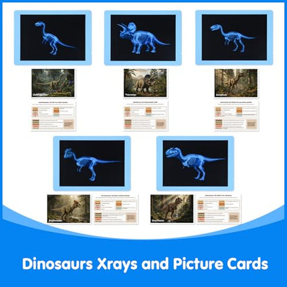 15 Pcs Dinosaur Xrays & Creatures Cards - Light Table Toys - style: Dinosaur Series