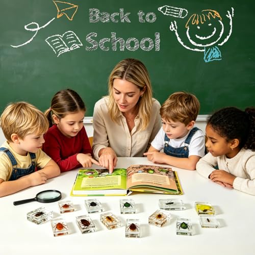 16 Pcs Real Insect in Resin Specimens Set with Magnifying Glass and Audiobooks, Various Butterflies, Bugs and Beetles Collection for Science Education, Classroom, Biology, Preschool, Home Display