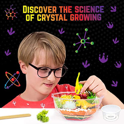 Original Stationery Dinosaur Crystal Growing Kit - Multicolor, 17-Piece, Ages 7 & Up - DIY Science Terrarium Kit with Moss & Dino Figures - Grow Your Own Crystals - Boys Birthday Gifts - style: Dinosaur
