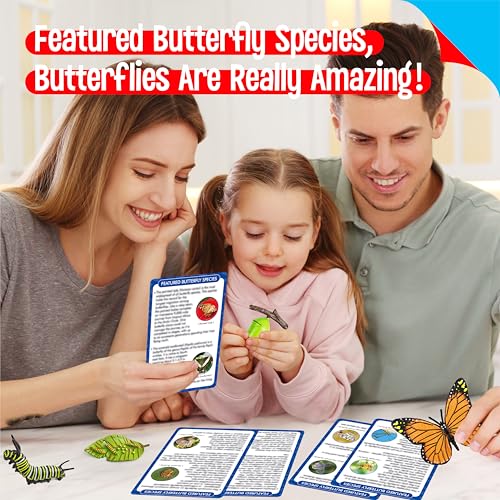 15 Butterfly Life Circle Flashcards with 4 Plastic Figurines, Butterflies Introduction Cards Plastic Insects Egg to Butterfly Kit Toy for Kids, Adults, Animal Lovers - style: Butterfly