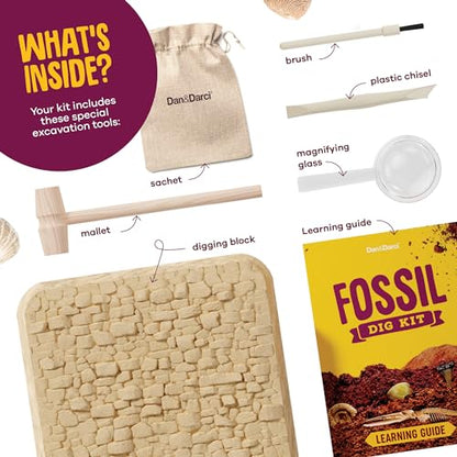 Real Fossil Dig Kit for Kids - Science Kits for Boys & Girls Age 8-12 Years