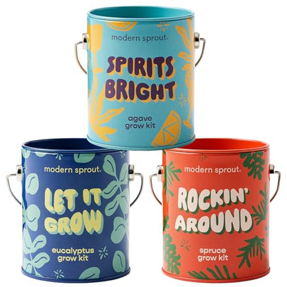 Modern Sprout Complimentary Color Grow Kits - Seed Starter Kit, Pack of 3 - size: Pack of 3