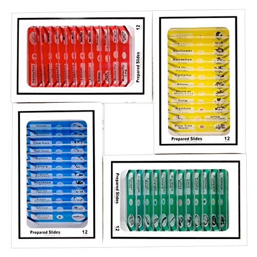 BoliOptics 48 Pcs Kids Plastic Prepared Microscope Slides of Animals Insects Plants Flowers Sample Zoological Botanical Biology Specimen Set for Students Hobbyists Beginners Kids Homeschool SL39901014