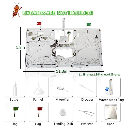 Ant Farm Castle, Ant Farm for Kids, Ant Colony Habitat Science Learning Kit - color: Ant Castle B