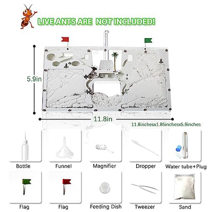Ant Farm Castle, Ant Farm for Kids, Ant Colony Habitat Science Learning Kit - color: Ant Castle B