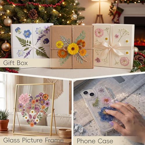 LUXEEASE 4-Color 100P Vibrant Dried Pressed Flowers - color: Blue/Orange/Pink/Purple 100p