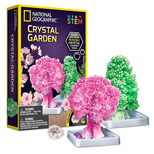 National Geographic Craft Kits for Kids - Crystal Growing Kit - Grow a Crystal Garden in Just 6 Hours, Educational Craft Art Project, STEM Crafts for Girls Ages 8 9 10 11 & 12 (Amazon Exclusive)