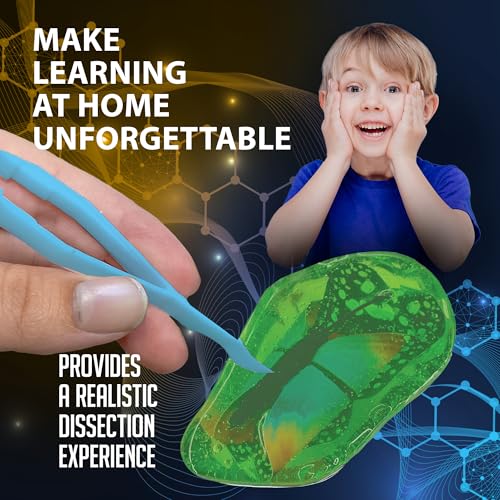 Discover it Butterfly, Science Lab Kit, STEM Toys for Kids, Ages 5+ - style: Butterfly