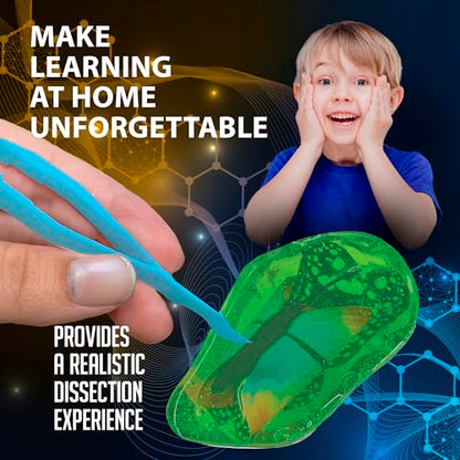 Discover it Butterfly, Science Lab Kit, STEM Toys for Kids, Ages 5+ - style: Butterfly