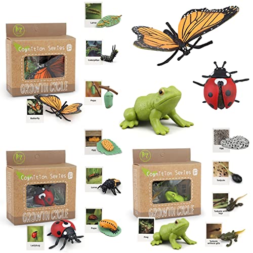 Montessori Life Cycle Learning & Education Toys, Plastic Insect Ladybug Monarch Butterfly Tadpole to Frog Kit, Preschool Learning Activities - color: Butterfly Frog Ladybug