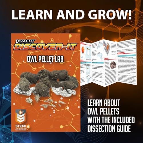 Discover-It Owl Pellet, Science Lab Kit, STEM Toys for Kids, Ages 5+ - style: Owl Pellet