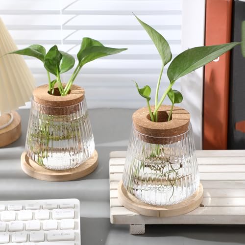 Baderke 12 Pack Propagation Vases for Plants, Vertical Grain Style - color: Vertical Grain Style