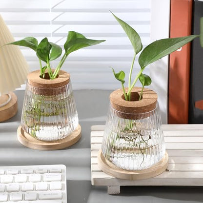 Baderke 12 Pack Propagation Vases for Plants, Vertical Grain Style - color: Vertical Grain Style