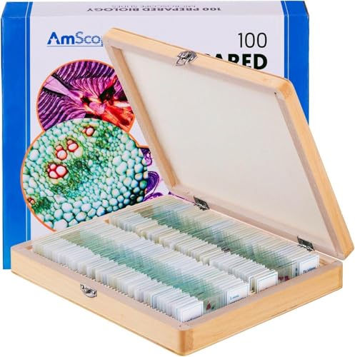AmScope PS100B Prepared Microscope Slide Set for Basic Biological Science - style: PS100B