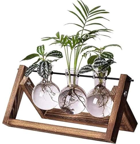 Kingbuy Plant Propagation Station, 3 Glass Bulb Vases with Wooden Stand - size: 3 Bulb Vase