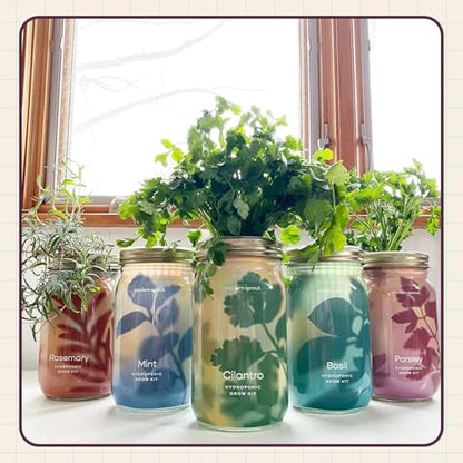 Modern Sprout Mason Garden Jar - Self-Watering Hydroponics Kit - Parsley - color: Parsley, size: Garden Jars