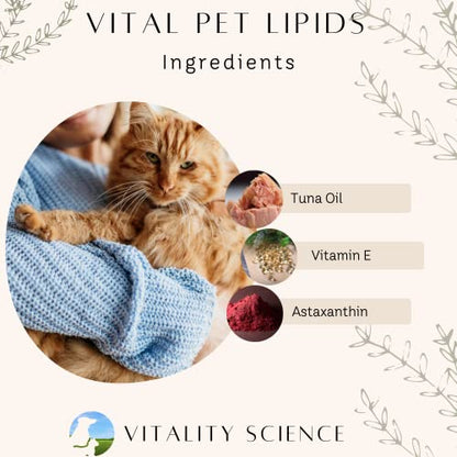 Vitality Science Advanced Immune Restoration Supplements for Dogs | Intense Regeneration Protocol | Helps with Pain Relief (Medium) - size: Medium