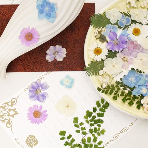 Dried Pressed Flowers Real Pressed Flowers Natural Dry Leaves Bulk Mixed Colorful Herbs Kit with Tweezers for Scrapbooking DIY Candle Jewelry Crafts Making Nails (White, Purple, Blue) - color: White, Purple, Blue