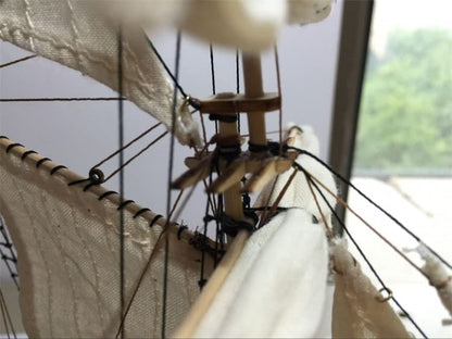 GAWEGM Wooden Ship Model - 1/100 Halcon 1840 Building kit, for Adult - color: Brass cannon