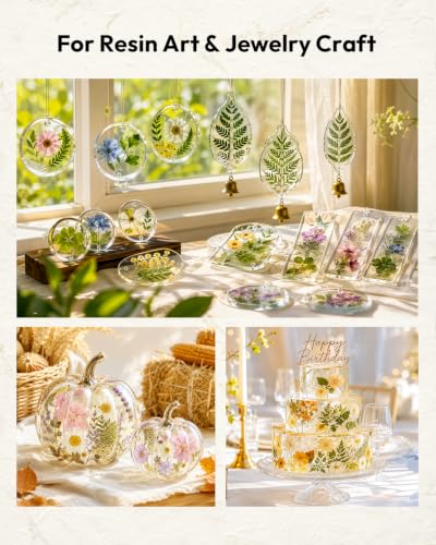 Dried Flowers, Resiners 100Pcs Pressed Flowers for Craft - color: Blossom 100pcs
