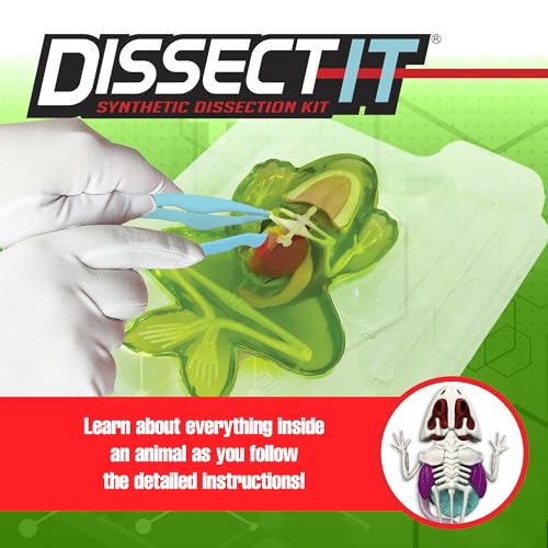 Dissect-It, Standard Frog Dissection Kit, STEM Toys for Kids, Ages 6+ - style: Frog