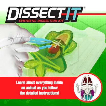 Dissect-It, Standard Frog Dissection Kit, STEM Toys for Kids, Ages 6+ - style: Frog