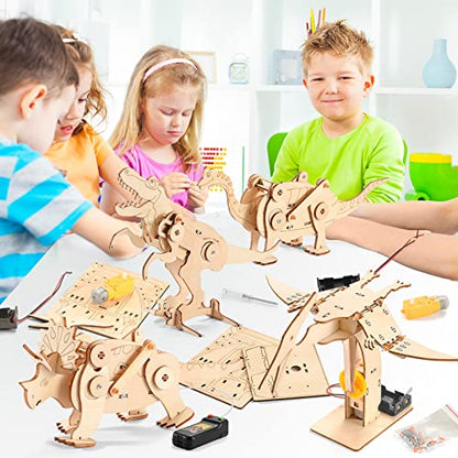 16 in 1 STEM Kits for Kids Ages 10-12, DIY Stem Craft Projects, Kids Wood Building Toys, Wooden 3D Puzzles Model Kit for Boys to Build,Educational Science Set for Age 8 9 10 11 12 Year