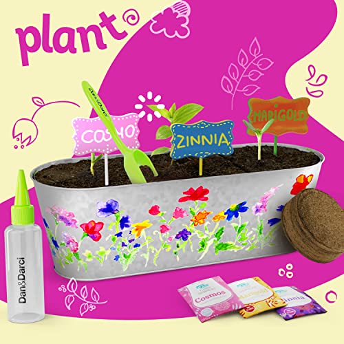 Paint & Plant Flower Growing Kit for Kids - Fun Gardening Kits - Gift Ideas