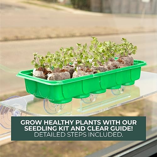 Window Garden Mini Greenhouse Seed Starter Kit – Reusable Seedling Trays - Indoor Germination Tray with Humidity Dome and Soil Pods - Windowsill Seeds Germinator - 30 Cells Starting Trays, 3 Pack