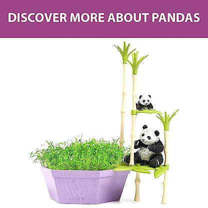 Wild Scenes Pandas' Bamboo Forest - Grow & Play Kit Environmentally Friendly Wildlife Conservation Toy - Animal Playset for Kids Ages 4 and Up - style: Pandas' Bamboo Forest