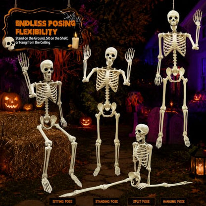NLShan Life Size Skeleton for Halloween: 5.4ft Human Anatomy Skeleton - color: Off-White