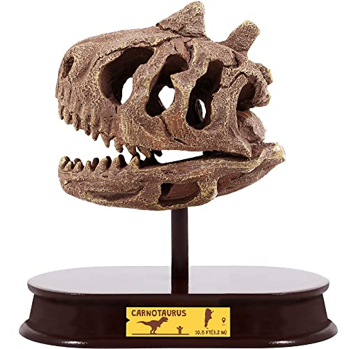 ArtCreativity Dinosaur Excavation Kit, 5-Inch Carnotaurus Skull Toy & Stand - style: Carnotaurus