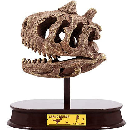 ArtCreativity Dinosaur Excavation Kit, 5-Inch Carnotaurus Skull Toy & Stand - style: Carnotaurus