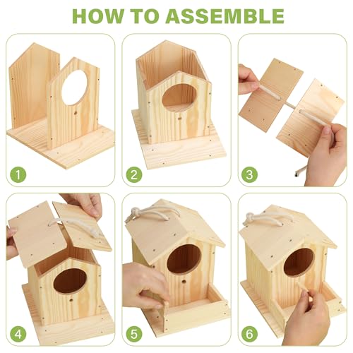 LotFancy Bird House Kit, 2 Pack, DIY Wooden Birdhouse Kits, Arts and Crafts Painting Kit for Kids, Build and Paint, Including Paints & Brushes - style: Paint 2pcs Bird House