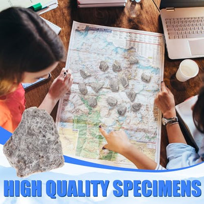 Tandefio 24 Pack Oolitic Limestone 1" Limestone Rock Sedimentary Specimens