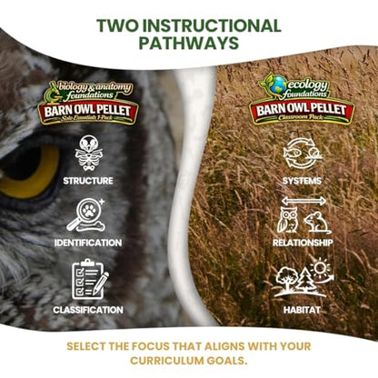 Barn Owl Pellets for Dissection, Solo Essentials Kit, Small 1-Pack by OBDK - size: Small (1.0 to 1.5 inches)