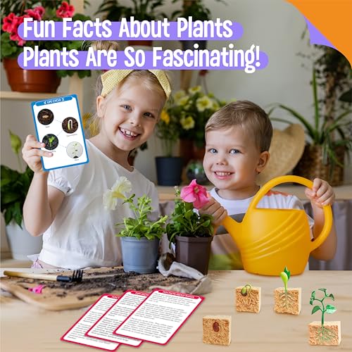 15 Plant Life Circle Flashcards with 4 Plastic Figurines-Seed to Plant, Plants Introduction Card Plants Growth Details for Nature Lovers & Adults, Montessori Toy for Kids - style: Plant