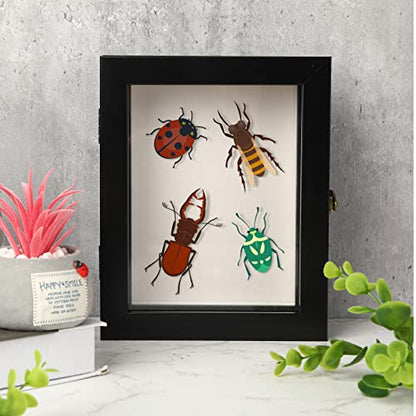 3 Pcs Insect Display Case Wall Mount Clear Bug Display Case Collection Box with Anti Fade UV Protection Top Eva Foam Pin 300 Pcs and 3 Sizes Pins Insect Shadow Box for Butterfly Specimen