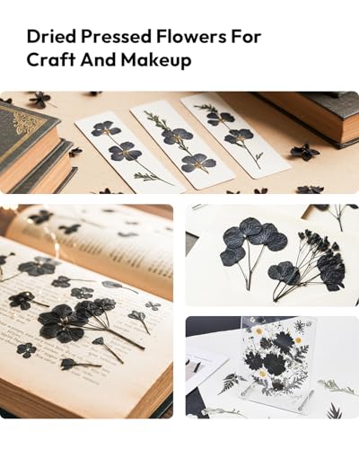 Dried Flowers, Resiners 100Pcs Pressed Flowers for Craft Black Real Natural Dried Flowers Dry Leaves Kit for DIY Making Crafts Resin Soap Candle Scrapbook Supplies Card Making Jewelry - color: Nightfall 100pcs