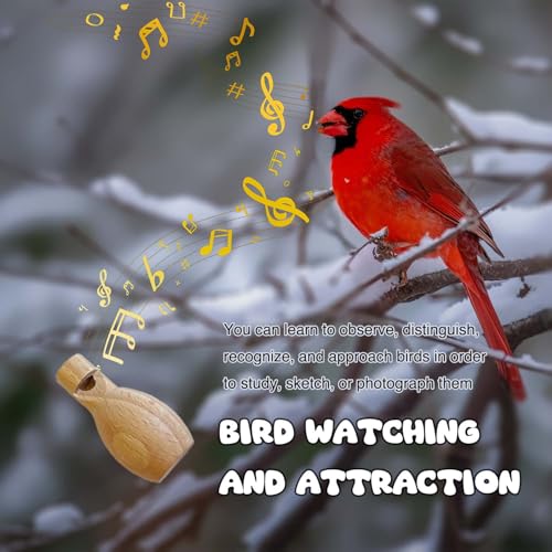 ZDH 9-Piece Wooden Bird Call Set – Handcrafted Bird-Call in Wooden Box for Birdwatchers, Nature Lovers, Outdoor Exploration & Education 5.9 * 5.9 * 3.9inch - size: 5.9*5.9*3.9inch