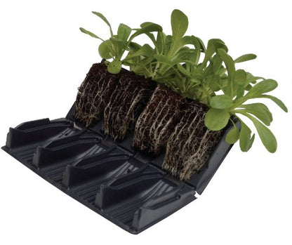 Tierra Garden 50-9010 Haxnicks Rapid Rootrainers Seed and Cutting Propagation Kit