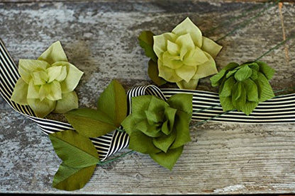 Lia Griffith Double Sided Crepe Paper Folds Roll, Green Tea and Cypress, Ferns and Moss, 6.7-Square Feet (Pack of 12) - color: Green Tea and Cypress, Ferns and Moss, size: 6.7-Square Feet (Pack of 12)